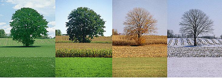 制作人冯骥辟谣《黑神话：悟空》春节出DLC：还需要更多时间