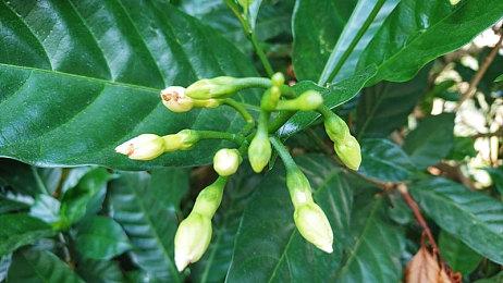 门户模式刷经验已成过去！ Dice发文详述更新