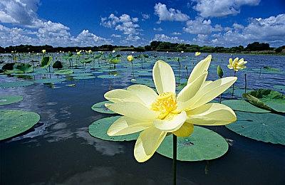 Bungie《惑星行者》在PC和Xbox上无需PSN账户